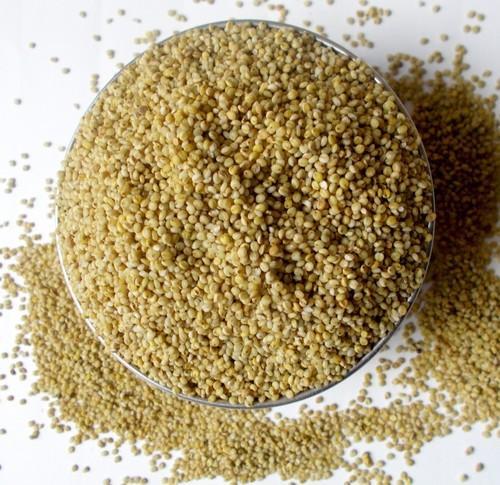 Brown Top Millet/ Andu Korralu